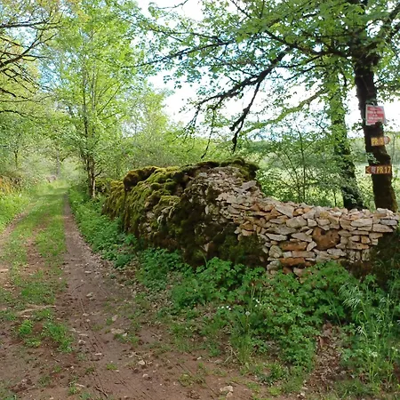 Holiday home La Petite Maison Du Bosc Saint-Antonin-Noble-Val