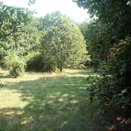 Holiday home La Petite Maison Du Bosc Saint-Antonin-Noble-Val