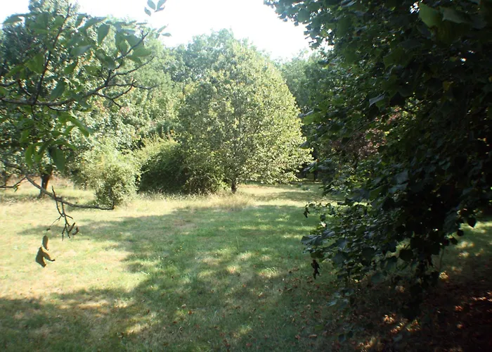 Dom wakacyjny La Petite Maison Du Bosc Saint-Antonin-Noble-Val